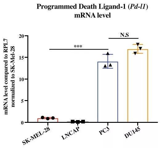 前列腺癌细胞的PD-L1mRNA的水平要高得多