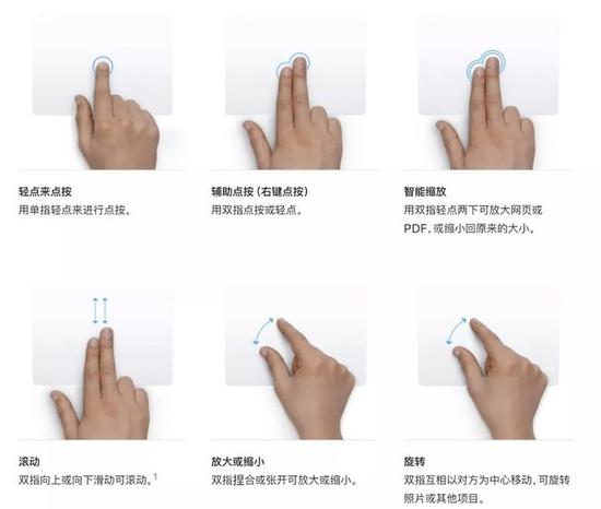 逢赌必赢七字咒|岁月流逝情怀不变 丰鹤辛勤办赛尝试创新