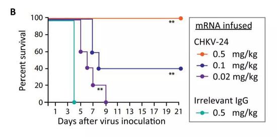 ▲仅仅注射mRNA，也能对小鼠产生保护（图片来源：参考资料[1]）