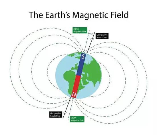 地球上的生物暴露在始终存在着的地球磁场中,这些磁场在星球表面不同地方密度和方向各不相同。