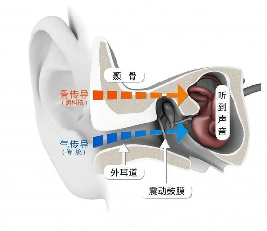 微信语音里自己的声音为什么那么难听?