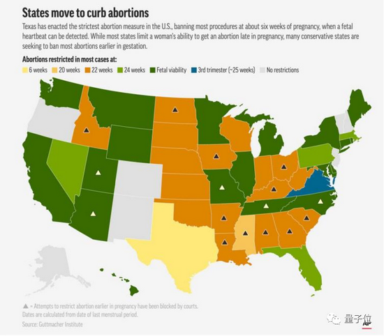 △美国各州允许堕胎的怀孕周数