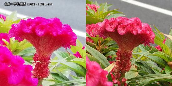 千元网红机玩针对 荣耀9i与红米note5对比