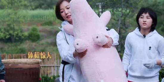 还记得王珞丹参加节目《向往的生活》带来的治愈猪猪沙发么?