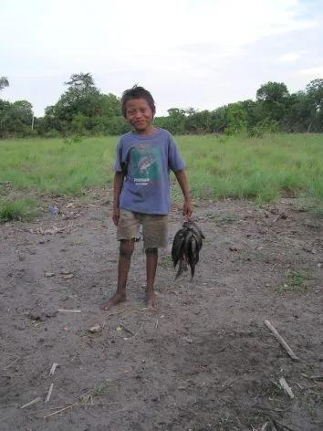 　　在觅食的日子里，委内瑞拉Pumé男孩们会带足够的鱼回家，喂饱自己和一些家人。|  Russell D。 Greaves
