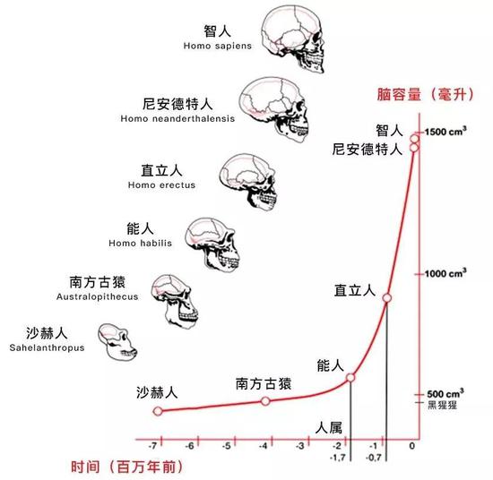 大概250万年前,地球气候发生了显著的变化。
