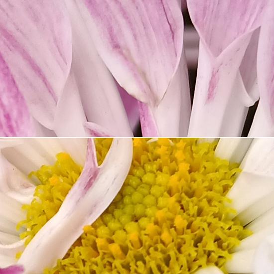 ▲OPPO R15实拍样张，100%截图