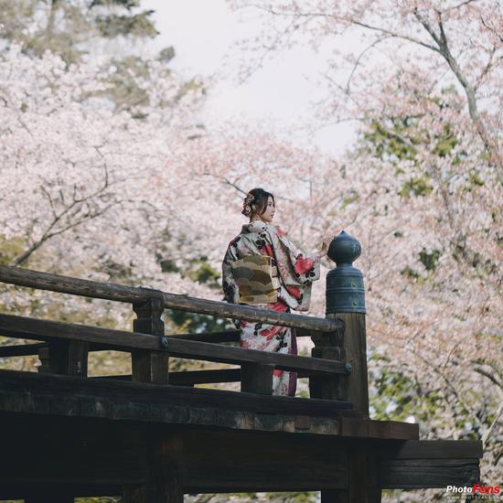 EOS 5D Mark IVEF 100mm f/2.8L IS USM 微距