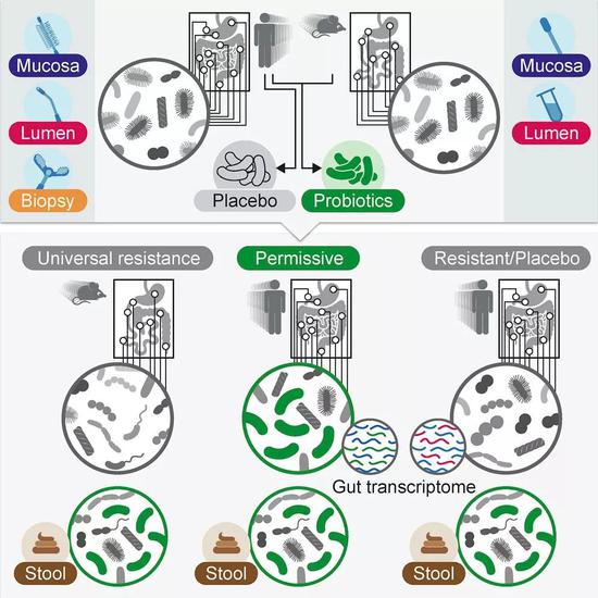 图片来源:《细胞》