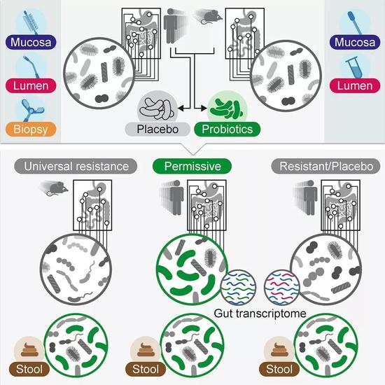 图片来源：《细胞》