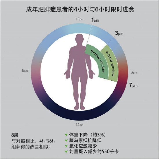 实验参与者的限时进食时间示意图 (引自Cienfuegos等)