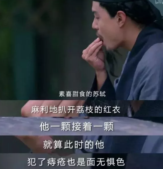 没错啊,同学们。苏轼也会犯痔疮。/《历史那些事》
