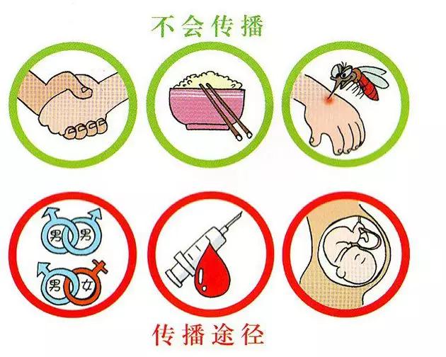 图8。 艾滋病传播yes or no