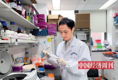 中科院神经科学研究所研究员杨辉在做基因研究（“中国经济周刊”记者宋杰摄）