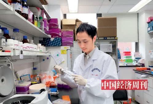 中科院神经科学研究所研究员杨辉在做基因研究(“中国经济周刊”记者宋杰摄)