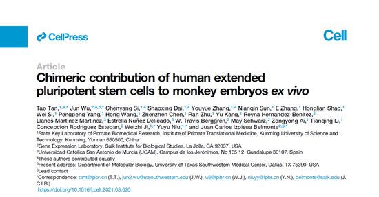 人-猴混合胚胎诞生，引起热议……你怎么看？|论文|干细胞