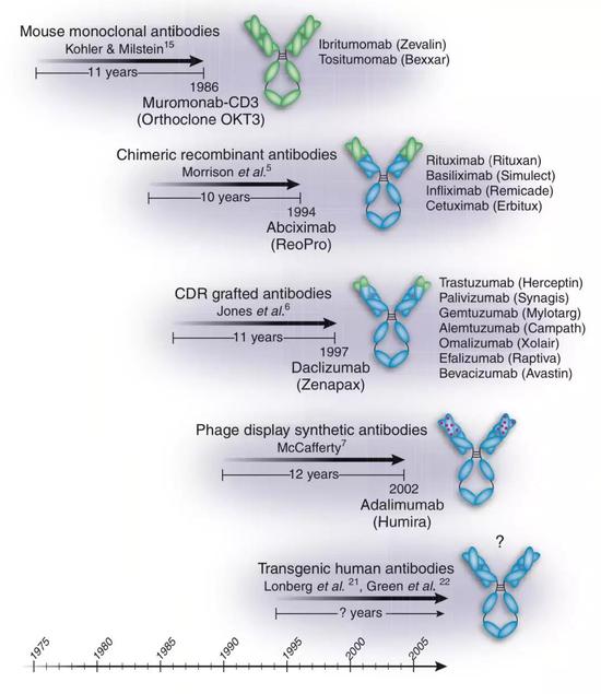 抗体药物发展简史