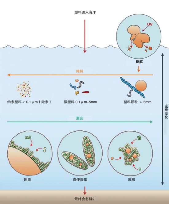 ▲塑料进入海洋后的演变过程