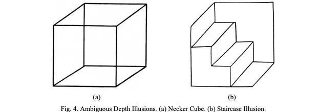 SB 看不出两张图片是立体的，也无法觉察两张图片有多种立体解读。图片来源：richardgregory.org