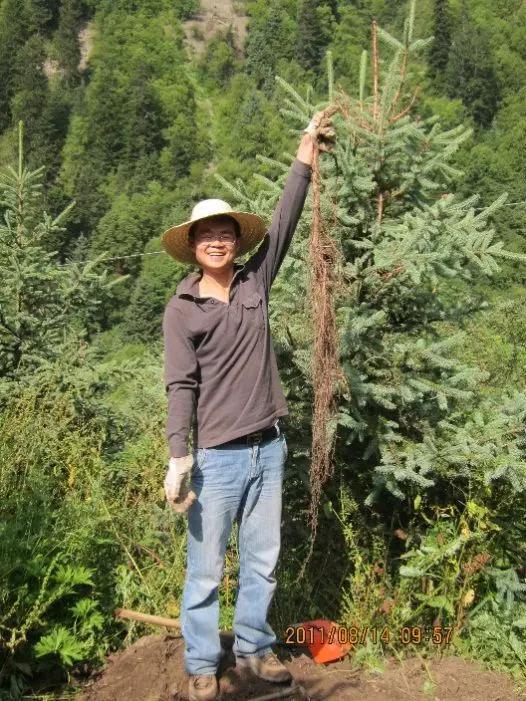 图8。 西南亚高山的“掘根者”(图片来源:作者提供)