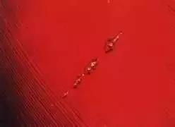 11-具有弯曲生长纹和拉长气泡的人工合成红宝石（图片来源：搜狐网）