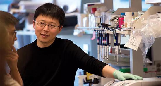 张锋是一名华人美国生物化学家。
