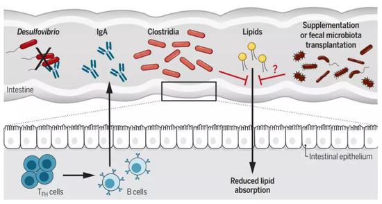  ϵͳͨӰ쳦ȺСĴл֣ͼƬԴο[2]