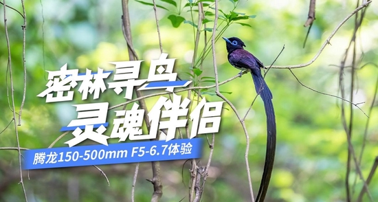 Ѱ 150-500mm F5-6.7