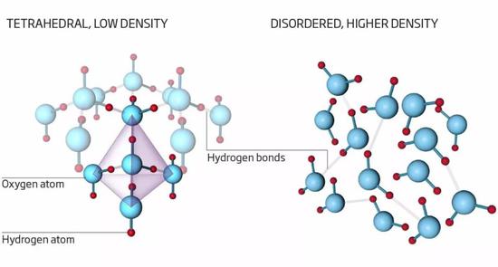 Nilsson认为，水分子可以以两种结构存在。