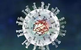 非洲猪瘟病毒（图片来源：paixin.com）