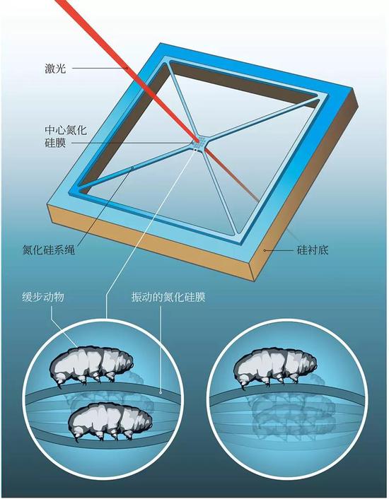 格勒布拉赫尔的实验示意图