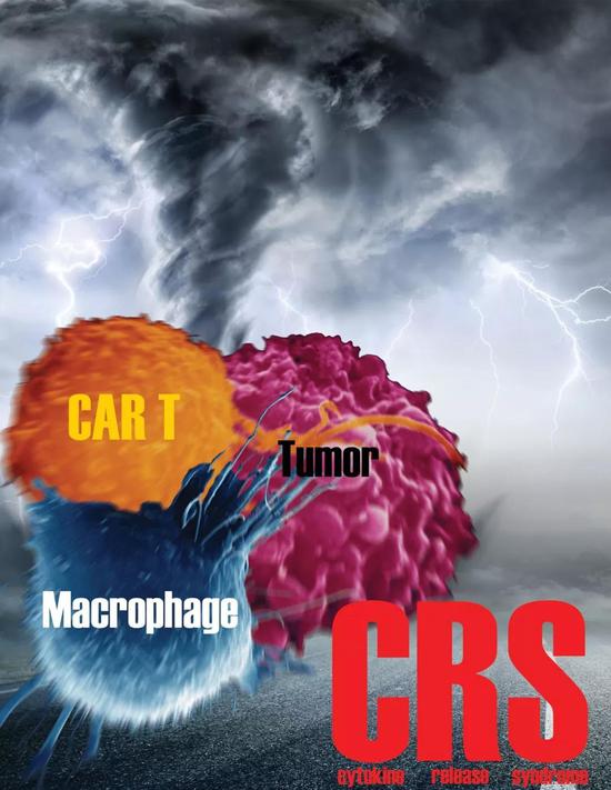 细胞因子释放综合征（图片来自creative-biolabs.com）