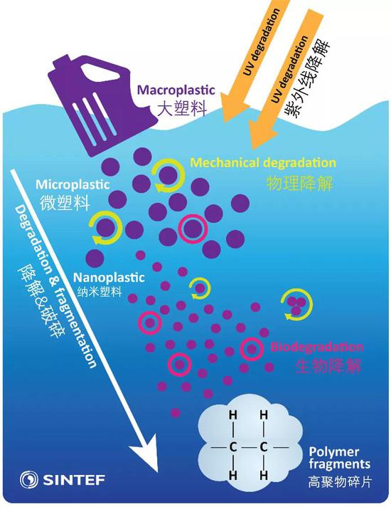  塑料在海洋中的变化示意图图源