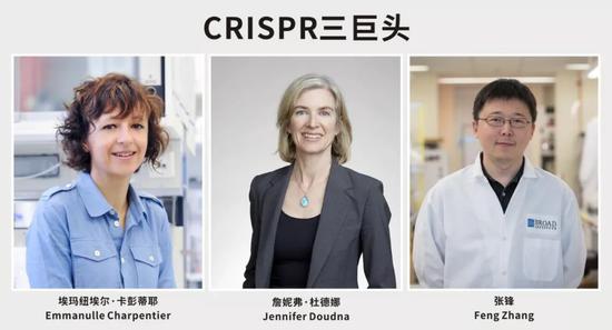 CRISPR奠基人获沃尔夫奖,张锋再次陪跑,诺奖还有戏吗? CRISPR奠基人获沃尔夫奖,张锋再次陪跑,诺奖还有戏吗?