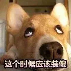 基金暴跌那几天，我都不敢看支付宝……︱信息回避是怎么回事？