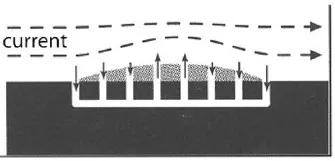 Paleodictyon nodosum 的侧面图。图片来源：（DOI）10.1016/j.dsr2.2009.05.015