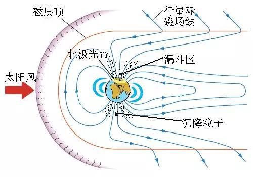 粒子沉降在两极漏斗区（作者自画）