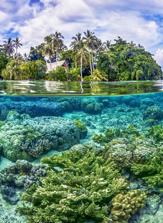 热带海域的珊瑚礁和珊瑚礁岛