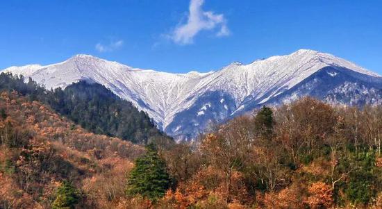 研究所在地——秦岭山脉。随着气候变化，这片山脉的大熊猫将失去家园吗？图片来源：王放