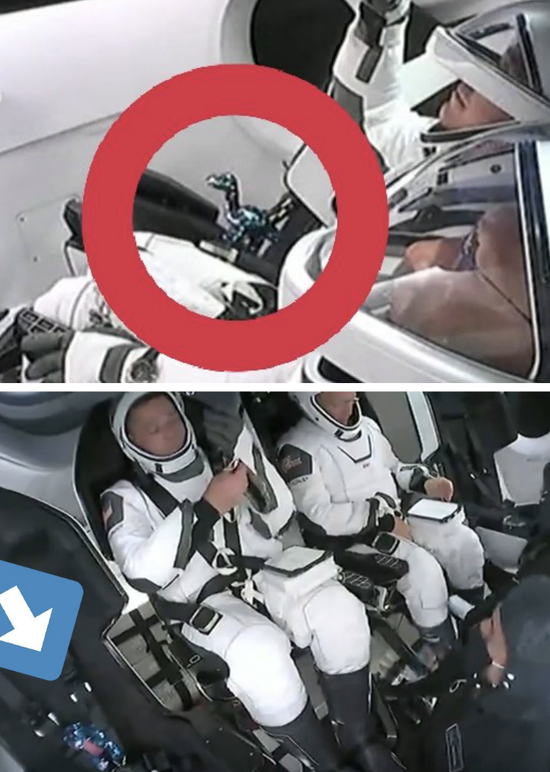 图| 宇航员3号——小恐龙安全带已绑好，飞行准备就绪！