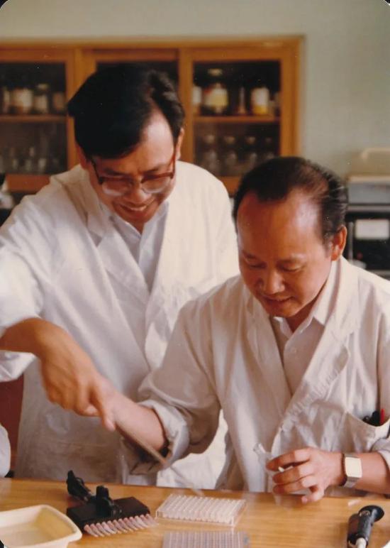 1984年曾毅(左)在指导实验
