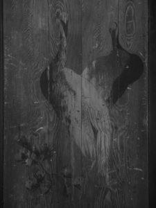 富士推出GFX100 IR红外版中画幅无反