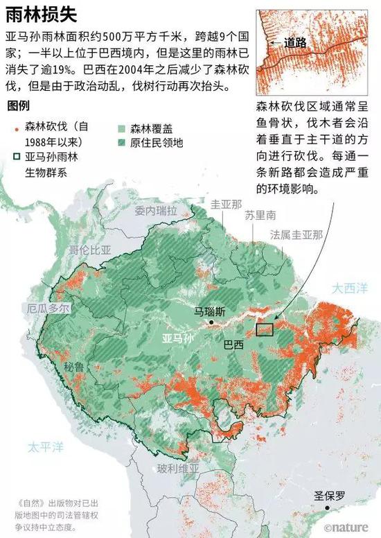 来源:TerraBrasilis(1988-2007年的巴西数据),RAISG(其他国家数据和原住民领地/亚马孙流域边界),Hansen/UMD/Google/USGS/NASA(2000-2018年的树木损失数据:https://go.nature.com/39CE2FC),ESA Land Cover CCI Product(森林覆盖)。