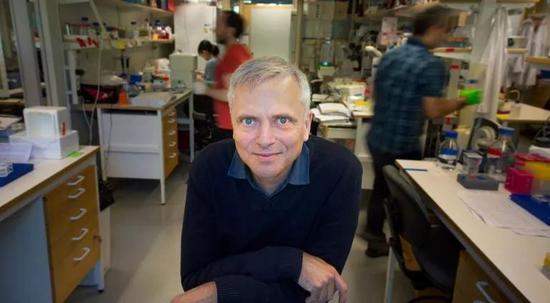 研究负责人、卡罗林斯卡研究所的医学生物化学和生物物理学Patrik Ernfors教授