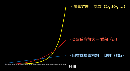 三条曲线反映了病毒扩增和两道防线的反应速度的比较。