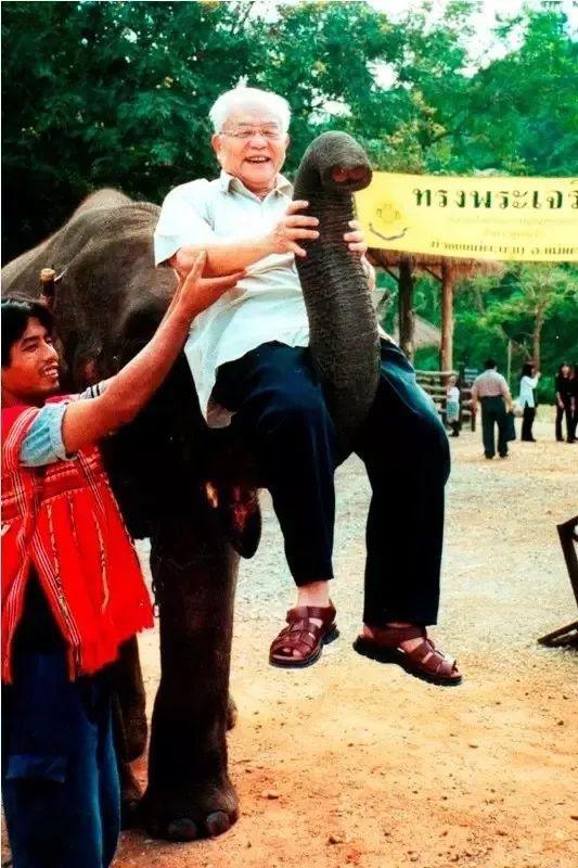 吴文俊在泰国骑大象（图片来源：吴文俊先生纪念网站）