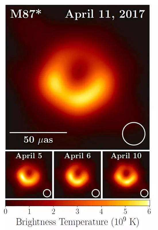 图1。 M87星系中心超大质量黑洞（M87*）的图像，上方为2017年4月11日的图像，下方三个图为M87*在2017年4月5日、6日和10日的图像。图中心的暗弱区域即为“黑洞阴影”（见下文），周围的环状不对称结构是由于强引力透镜效应和相对论性射束（beaming）效应所造成的。由这种上（北）下（南）的不对称性可以定出黑洞的自旋方向。（图源：参考资料[1]）