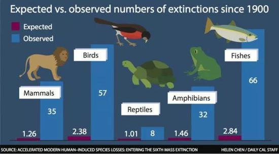图4现代生物灭绝的速度远超过人们的预期（图片来源：nationalvanguard.org）