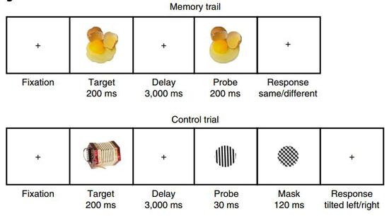 工作记忆能力测试方法示例[2]