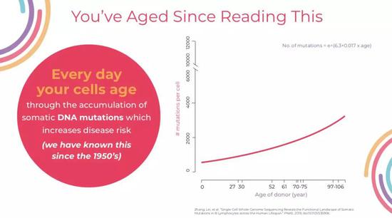 （细胞基因突变数目与年龄关系，图片源自Everalabs官方提供）